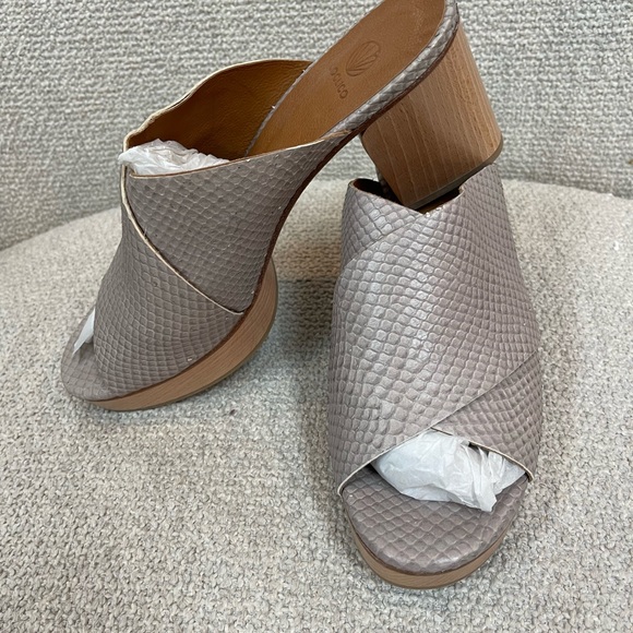 Coclico - Picture 2 of 9